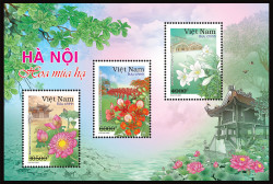 Hà Nội 12 mùa hoa (Bộ 2)